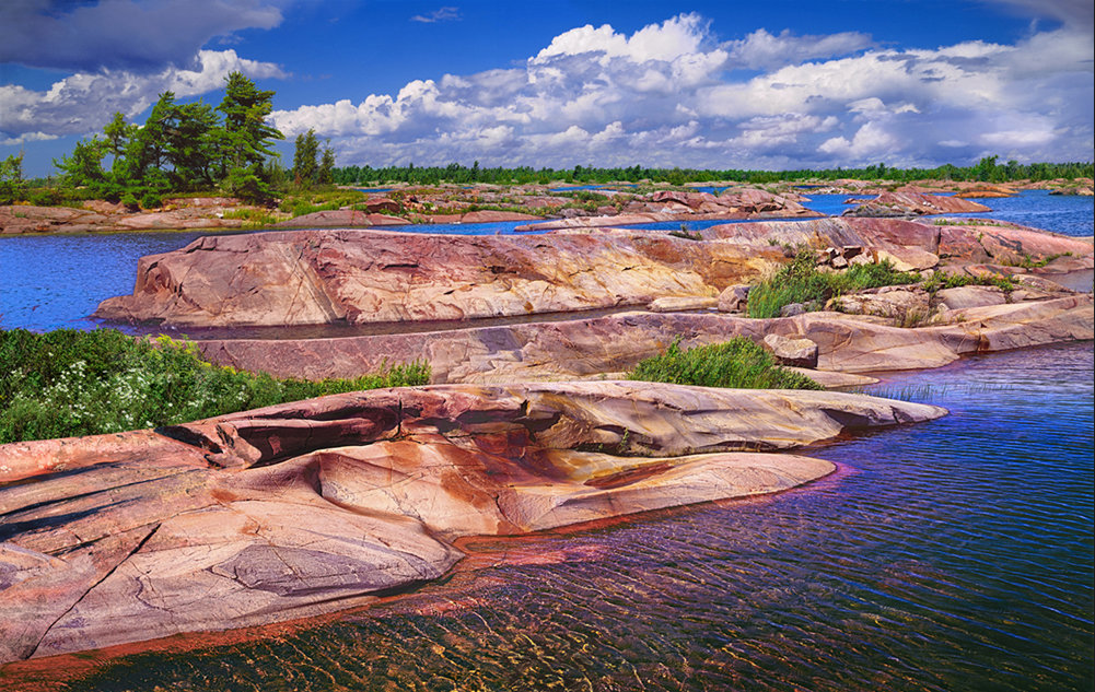 Dolphin, French River, Ontario